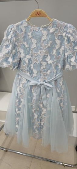 صورة فستان أزرق أنيق مزين بالتل على الفستان